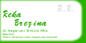 reka brezina business card